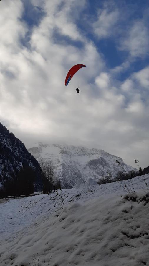 Appartamento Vénosc-Les 2 Alpes , Rez de jardin Esterno foto